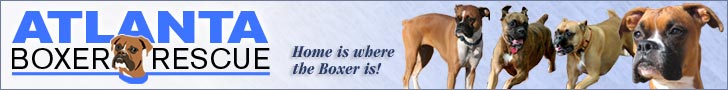 Atlanta Boxer Rescue