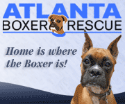 Atlanta Boxer Rescue