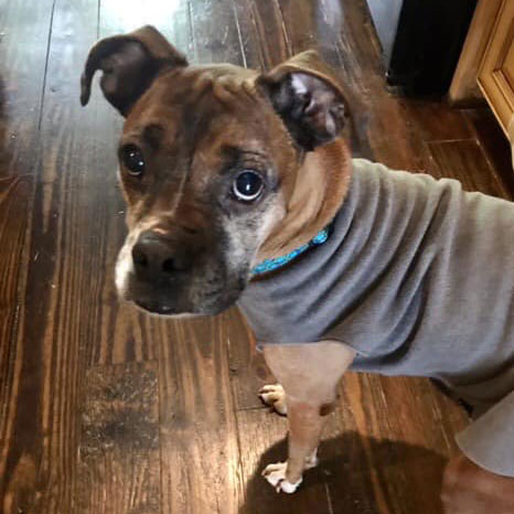 Bella