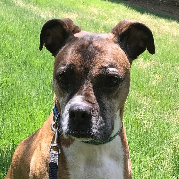 Bella