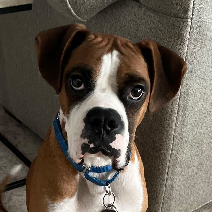 Winston
