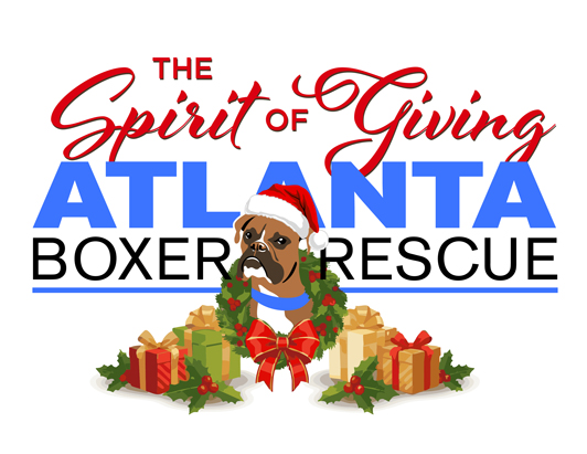 GA Gives / Giving Tuesday